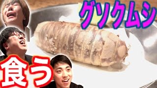 【閲覧注意】グソクムシの衝撃的なルックスにビビりまくり【ゲテモノ】