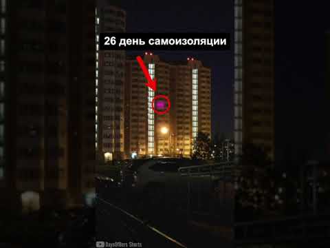 26 день самоизоляции