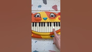 Catnap Vs Cool real instruments! #cat #catpiano #catnap