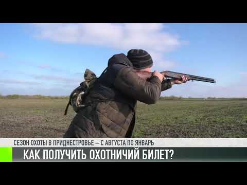 Как получить охотничий билет?