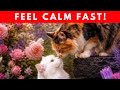 😍Einsamkeit Loslassen & Sich Wieder Besser Fühlen!Engelsfrequenz, Naturgeräusche & Tiefe Entspannung
