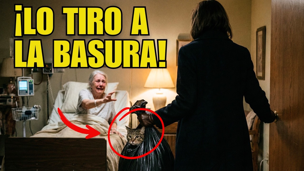 Tiraron a su gato a la basura por 