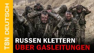 „Sie haben nicht verstanden, dass sie sterben würden“ — SCHOCKIERENDE AUSSAGEN VON KRIEGSGEFANGENEN