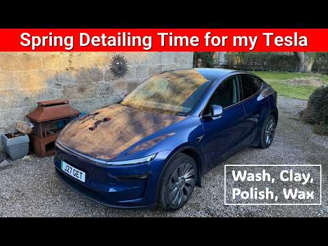After 9 months and a winter, what state is my Tesla paint in?