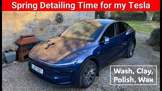 After 9 Months And A Winter, What State Is My Tesla Paint In?