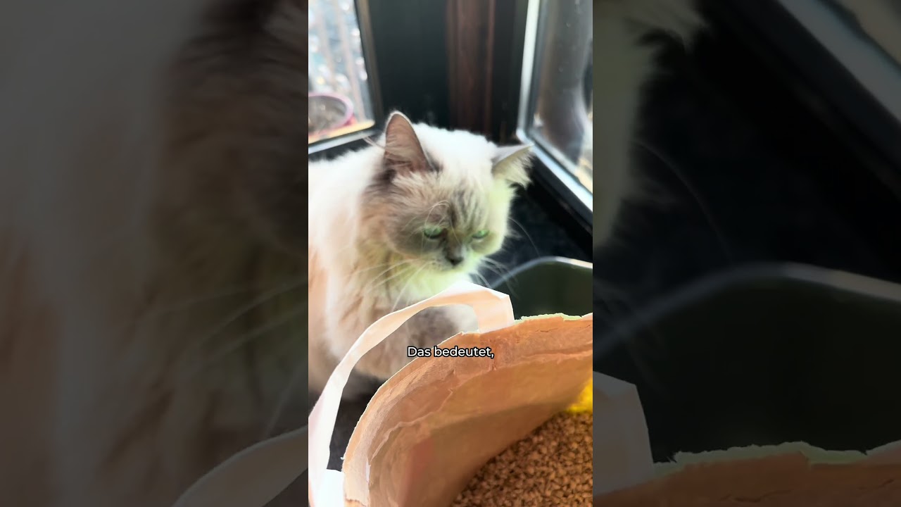 Das Streu-Upgrade! 🌱✨