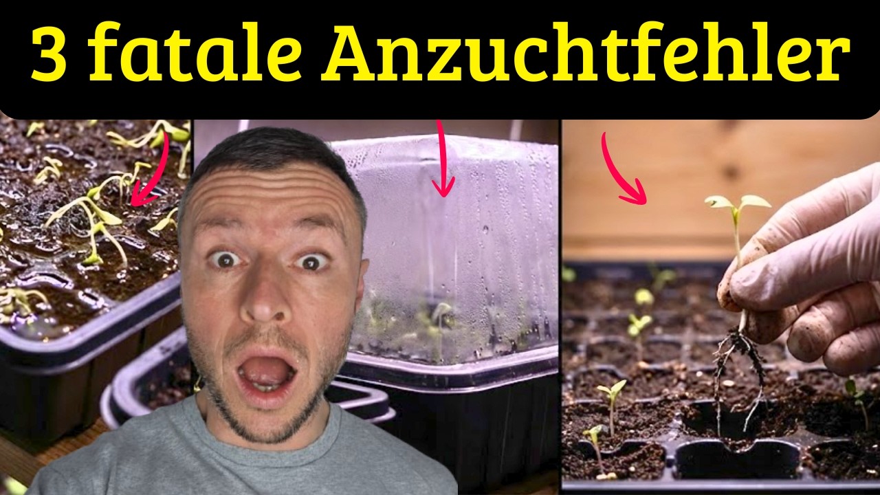 ❌ Diese 3 Anzuchtfehler ruinieren deine Jungpflanzen – fast jeder macht sie!