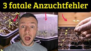 ❌ Diese 3 Anzuchtfehler ruinieren deine Jungpflanzen – fast jeder macht sie!