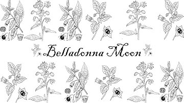 Doreen Virtue: Magical Messages from the Fairies Oracle Cards (NO TALKING)