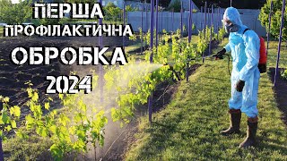 Перша профілактична обробка винограду 2024