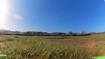 Impulse RC Alien RIP