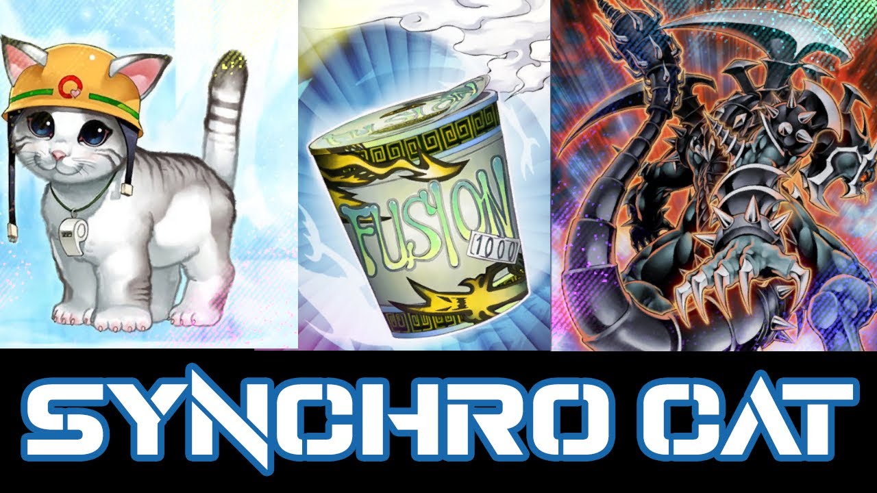 1st PLACE WIN! - Instant Synchro Cat deck profile (NO RYKO??) 1st PLACE WIN! - Instant Synchro Cat deck profile (NO RYKO??)