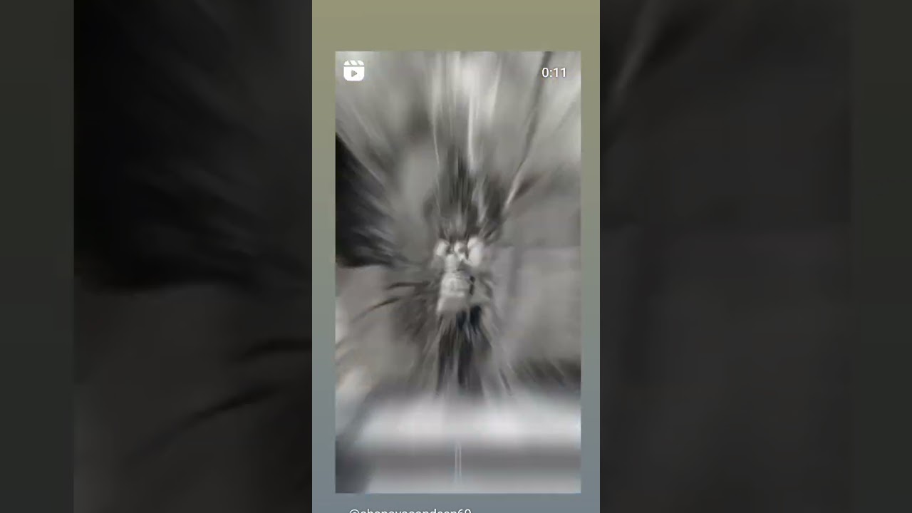 water park 🏞️ @injoy the with family##