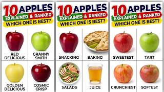 Every Apple Variety Explained  Which Apple Is Best