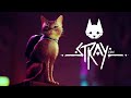STRAY - пробуем на вкус