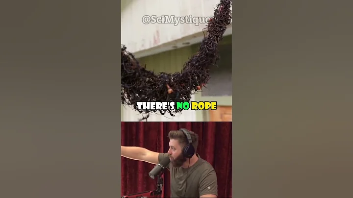 🤯Army ANTS Builds bridge to destroy Wasp Nest! 🐜 #shorts #joerogan #forrestgalante  #ants