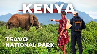 TSAVO | Kenya's LARGEST National Park (WILDLIFE, MAASAI, SAFARI)