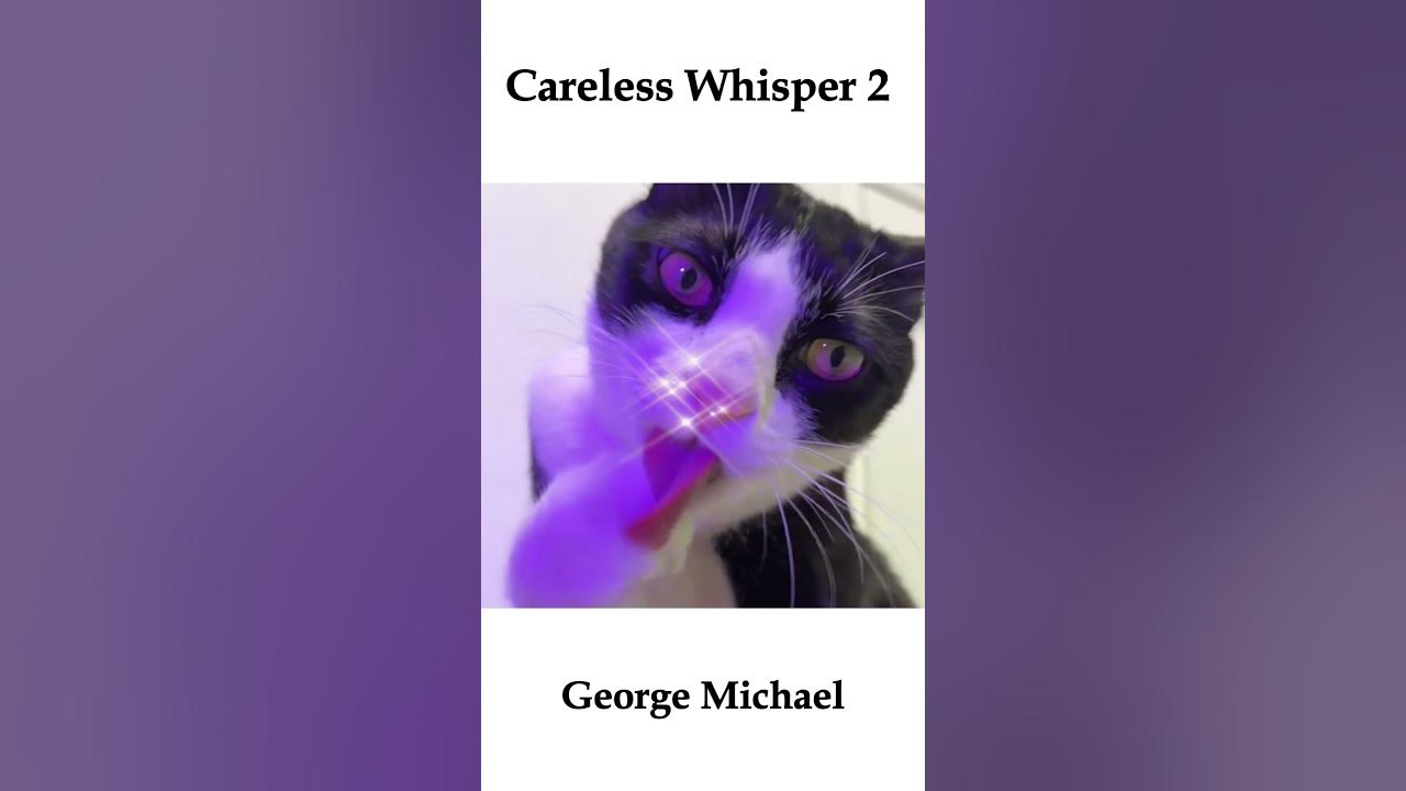 Careless Whisper 2-George Michael #music #musicvideo #funny # ...