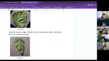 Tomato Leaf Disease Classification using Convolutional Neural Networks (CNN)