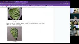 Tomato Leaf Disease Classification using Convolutional Neural Networks (CNN)