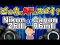 【比較】Z6IIIとR6mIIのAFを比較してみた!