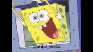 Spongebob Amina Koyim