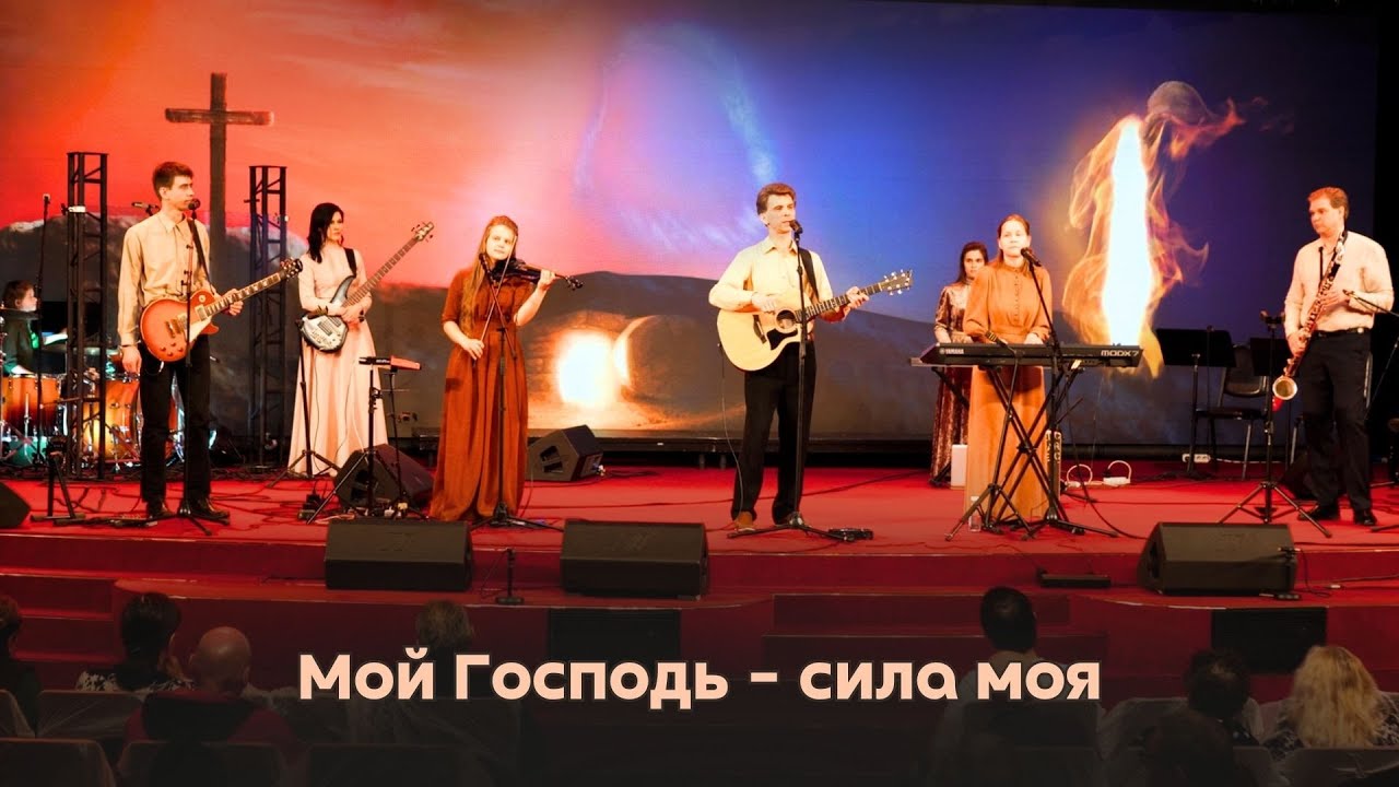 Добрая ромашка наталия лансере