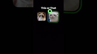 Untitled video