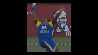 10 Most Stupid , Stupid people funny moment top 10 best Dircet /Hite run.cricket over impress