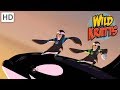 Wild Kratts - Showcasing Beautiful Animals #1 | Videos For Kids