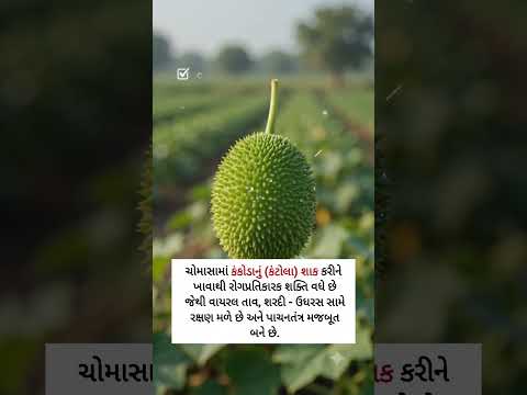 ચોમાસામાં માત્ર 90 દિવસ મળતું આ શાક ખૂબ જ શક્તિશાળી હોવાનું આયુર્વેદમાં મનાય છે.