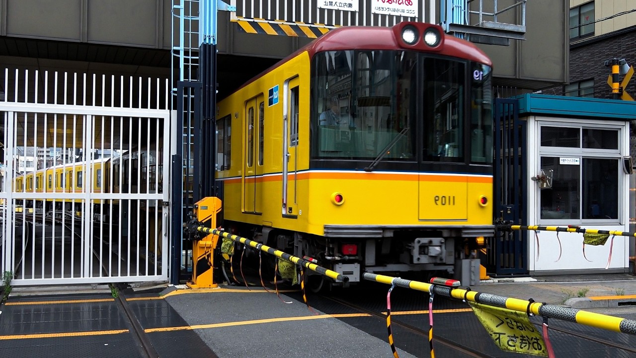 This Is Japan's ONLY Subway Crossing!
