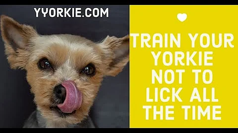 What does it mean if your dog is licking a lot?