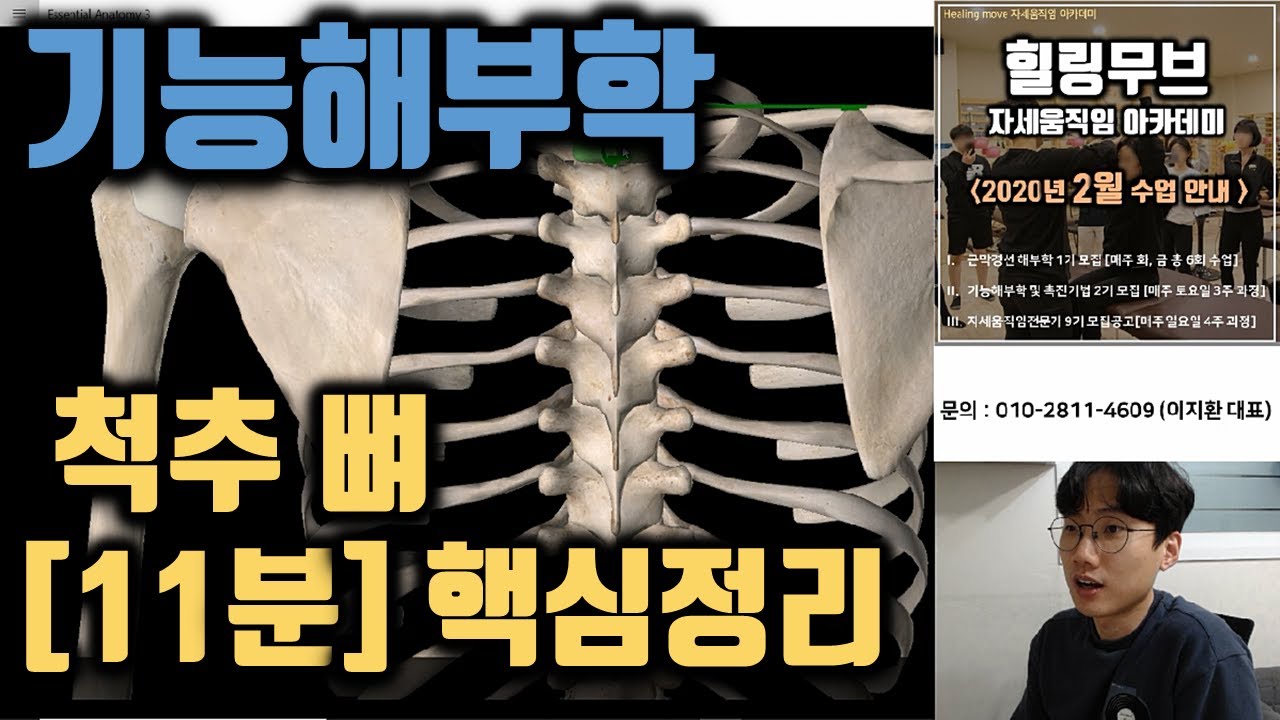 3-2. [3D해부학 어플] 척추 뼈 핵심정리 [11분 요약] | 기능해부학 및 촉진기법 |힐링무브 |essential anatomy