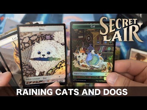 MTG犬猫統率者デッキ Raining Cats and Dogs Secret Lair Commander Deck: Raining Cats and Dogs | Secret Lair