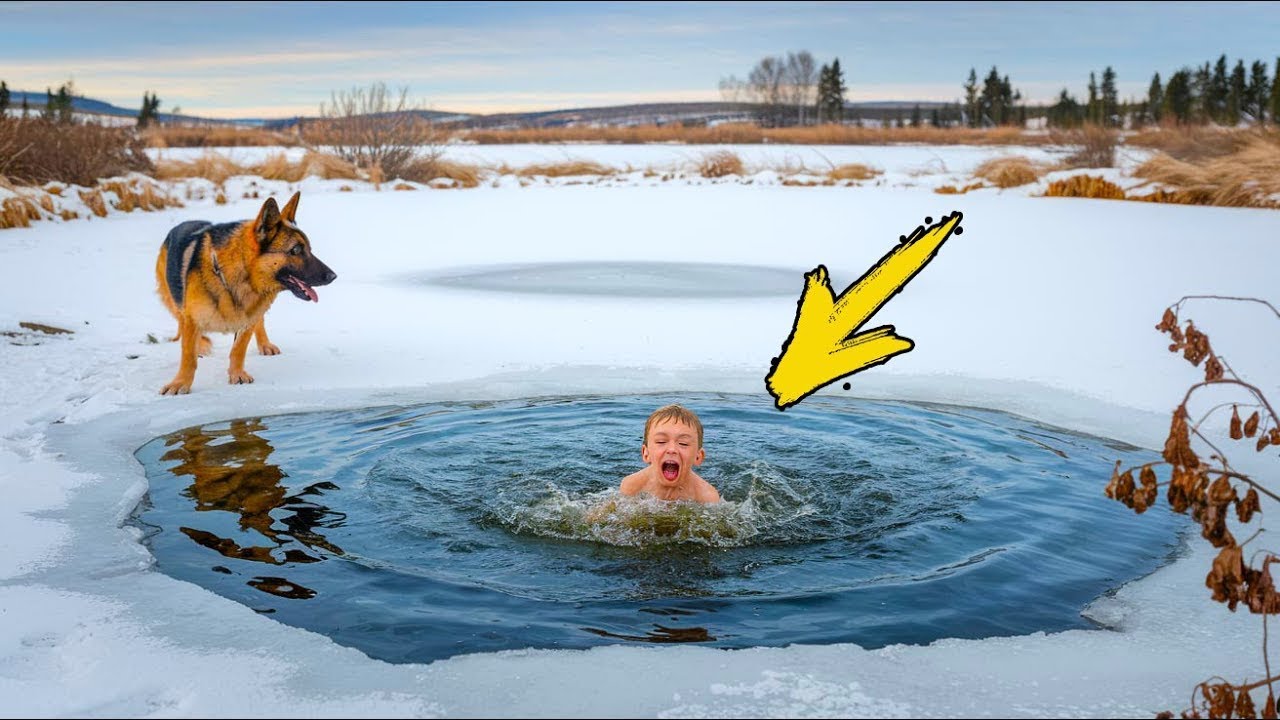 Heroic Dog Dives Into a Lake to Save a Helpless baby —A Rescue Like No ...