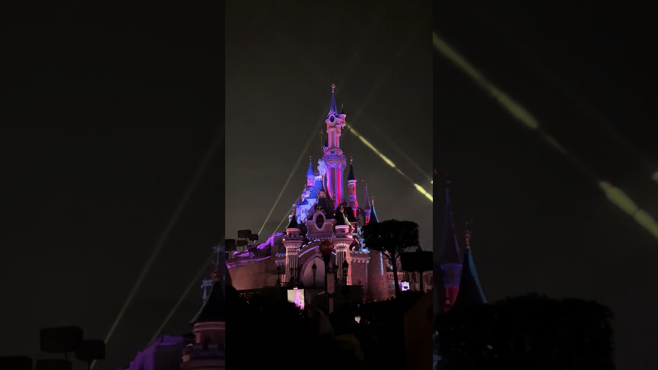 Disney night at Disney land 