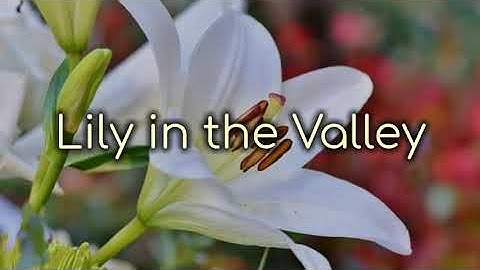 Keith & Kristyn Getty - Lily In The Valley (Lyrics)