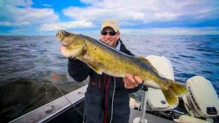 Bottom Bouncing For FAT Walleyes on Lake of the Woods  Good Fishing 2014