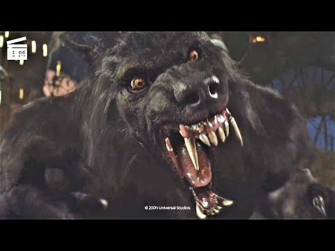 Van Helsing: Werewolf vs Dracula