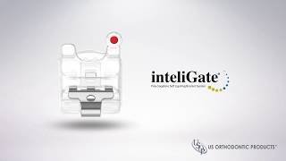 Us Orthodontic Products - Introducing Our Bracket Systems