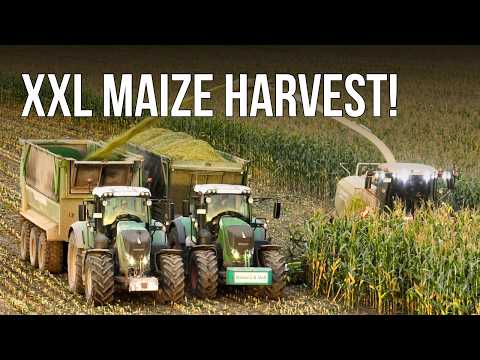 Osters & Voß Contracting Company: XXL Maize Harvest | 11 Harvesting Crews | 20 New Fendt Tractors