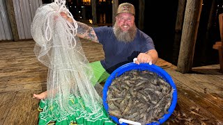 This DOCK is Loaded with SHRIMP! Catch Clean Cook