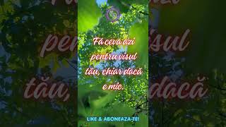 Stop Scroll. Ascultă Asta