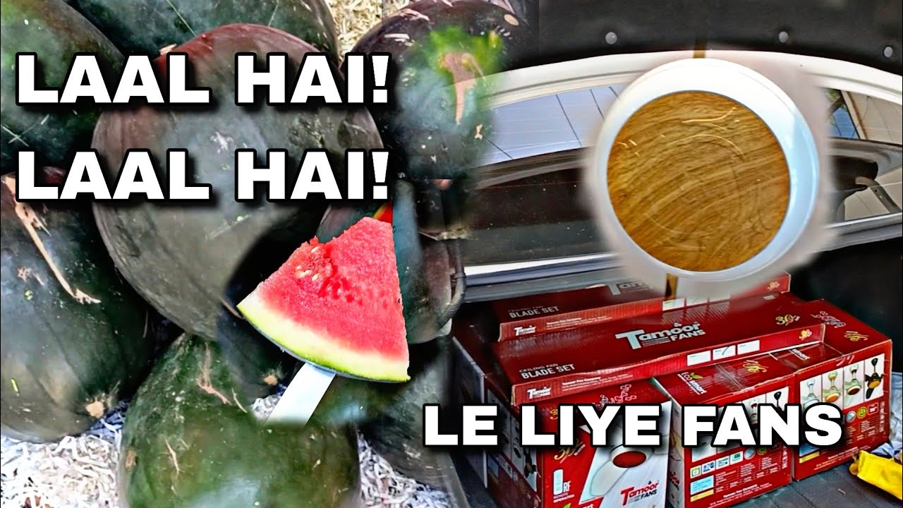 LAAL HAI LAAL HAI Fans Lene Gye Aaj YouTube laal-hai-laal-hai-fans-lene-gye-aaj-youtube