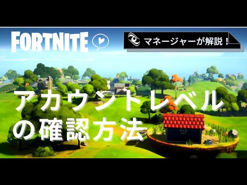 フォートナイトのアカウントレベルの確認方法 アリーナ 競技 Fortnite Youtube