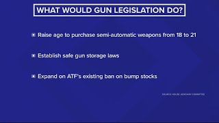 Congress meets to discuss gun control legislation after mass shootings