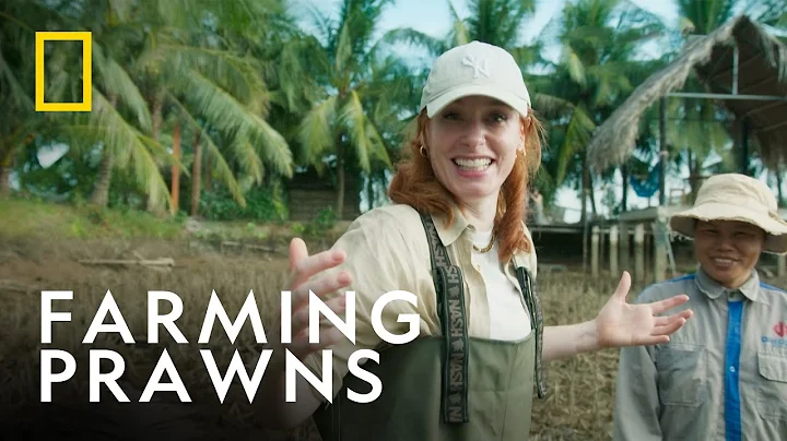 Vietnam’s Extraordinary Rise | The Infinite Explorer with Hannah Fry | National Geographic UK