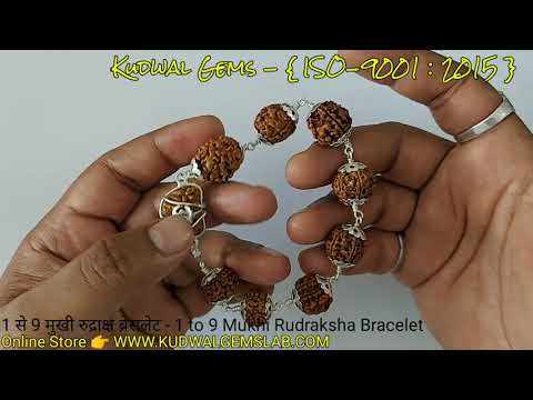 Shop 5 Mukhi Rudraksha Bracelet in Pure Silver 92.5ct Online