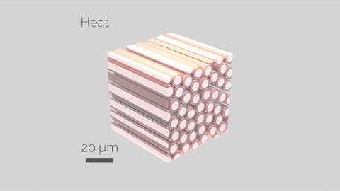 Teaser selected research projects Fall 2020